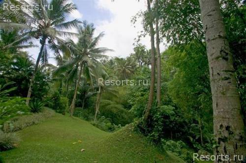 Four Seasons Resort Bali at Sayan 49